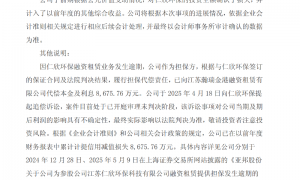 因财产不足以清偿所有债务 亚邦股份参股公司仁欣环保遭破产清算
