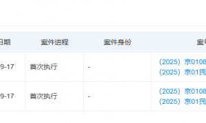 预制菜风波后，锤子科技成老赖：失信记录牵出罗永浩郑刚借款旧案
