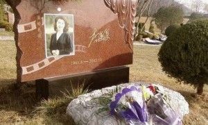 李媛媛墓地现状：杂草丛生似遗忘角落，鲜亮照片诉说昔日风华
