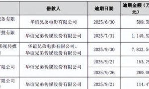 王中磊夫妇转战短视频，影视一哥到底怎么了？