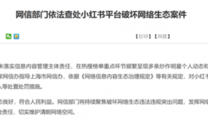 原创 
            靠流量“赚钱”，小红书太急了？