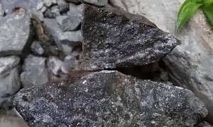 美国“急”的直冒汗！比稀土更关键，越南给中国送来一张“王牌”