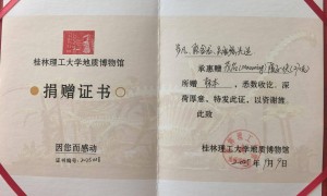 陨石猎人算出“火流星”落地点，挖出423公斤的“茂名”：跟做梦一样，感觉很恍惚