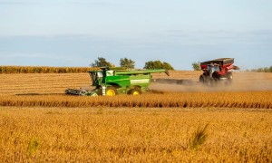 丢了中国市场,美国全球“找补”:印度也买点吧