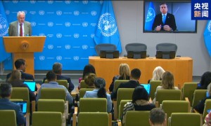 联合国宣布加沙停火后人道主义行动计划